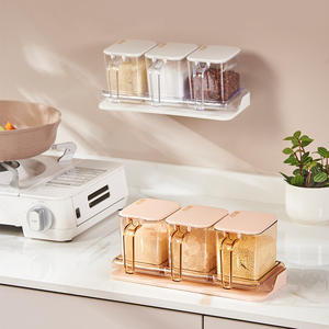 Organizador de Especias Ajustable para Encimera de Cocina, Estante de Plástico Transparente de Tres Piezas para Condimentos - Product Image 1