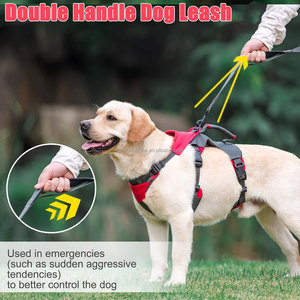 Juego de arnés personalizado para perros sin tirones con asa de elevación doble Juego de arnés y correa para perros Chaleco para mascotas Soporte ajustable a prueba de escape - Product Image 2