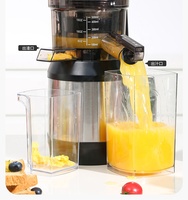 Klantspecifiek logo brede opening 250W slowjuicer extractor van roestvrij staal, commerciële koudpers juicer met reverse functie