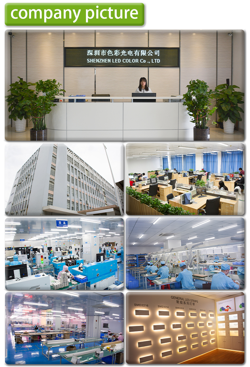 DC36V RGBW UCS2904 5050 Digital LED Light Strip 2904 RGBW 30M Pixel Smart control Led Strip Lighting