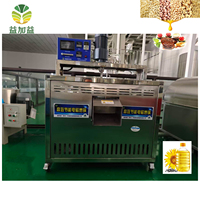 Machine de torréfaction rotative automatique électromagnétique 300 kg/h pour graines oléagineuses, noix, arachides, soja, colza, sésame – Portable