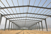 Nueva Estructura de Acero de Diseño Económico y Construcción Rápida para Almacenes y Edificios de Almacenamiento en Venta