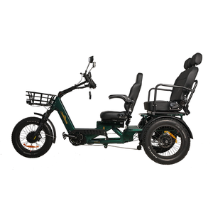Tricycle électrique tout-terrain à trois roues, grande autonomie 240 km, batterie 60 Ah, double moteur 1750 W - Product Image 6