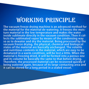 XXD大量の商用カスタマイズ自動凍結乾燥牛レバー機野菜乾燥凍結マッシャーマシン - Product Image 3