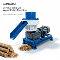 Machine à granulés de bois à moule annulaire de 22 kW, petite taille, 300-500 kg/h, pour biomasse, sciure de bois, coques de riz, paille