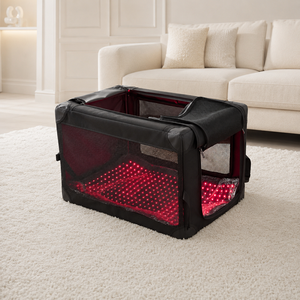 Manufacturer of red <b>light</b> therapy blankets for <b>dogs</b>, red <b>light</b> therapy equipment for <b>dogs</b> - Product Image 6