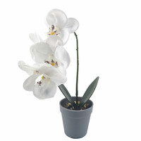 Groothandel Thuis Tuin Decoratie Orchidee Kunstmatige Plant Simulatie Real Touch Kleurrijke Plastic Bloem Bruiloft
