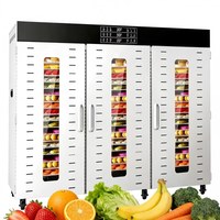 72-Trays Enkelzones Commerciële Voedseldroger Mango Sinaasappel Appel Fruit Dehydrator Droogmachine