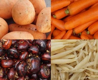 Commerciële Kleine Fruitverwerkingsmachine Nieuwe Staat Aardappelwasmachines Voor Taro Voor De Productie Van Zoete Snoep