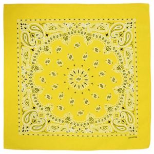 Articles promotionnels personnalisés : Bandana avec logo, cache-cou tubulaire sans couture imprimé, snood, foulard bandana - Product Image 6