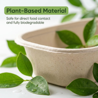 Plateau de service compostable et biodégradable en bagasse de canne à sucre à 4 compartiments avec couvercle pour buffet