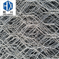 Grillage soudé pour élevage de volailles, cage à poulets, maille personnalisable, taille de maille disponible sur mesure