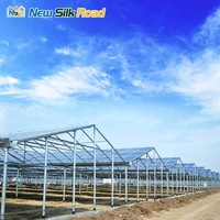 Serres agricoles photovoltaïques chinoises à simple travée en acier galvanisé à chaud avec ventilation et film solaire PE, type tunnel