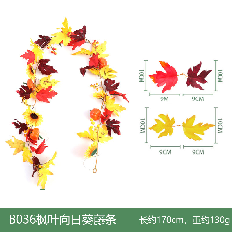 B036 Vignes de tournesol d'érable