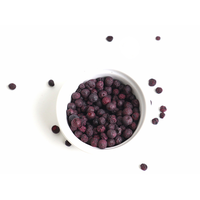 Gedroogd gevriesdroogd fruit