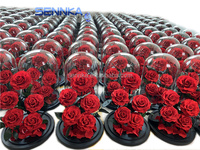 Vente en gros de roses séchées conservées dans un dôme en verre pour la décoration de mariage, la fête des mères