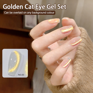 ZRKGEL คอลเลคชั่นใหม่ 4 สี ยาทาเล็บเจลตาแมวสีทอง เม็ดสีแน่น ปราศจากสาร HEMA/TPO รับผลิตแบบ OEM ชุดยาทาเล็บเจลตาแมว อุปกรณ์สำหรับร้านทำเล็บ - Product Image 6