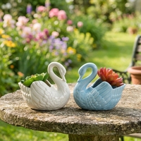 Vase Cygne en Céramique Blanche Minimaliste de Style Européen, Respirant, Résistant à la Corrosion, Durable, pour Plantes Succulentes Hydroponiques de Table