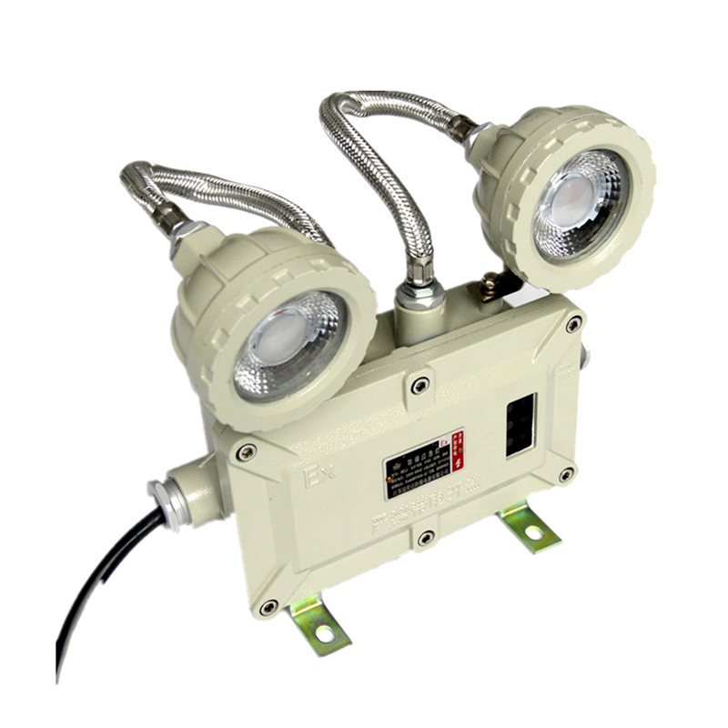 Crown Extra ATEX IP65 LED Rechargeable Emergency Light 2x3W | Crown Extra Lighting Co., Ltd.