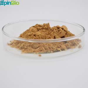 Factory Supply Green Coffee Bean Extract <strong>Chlorogenic</strong> <strong>Acid</strong> 60%