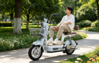 Vélo électrique 2 roues en promotion directe usine Chine, moteur 350W, 48V, vélo électrique pas cher avec frein à tambour, 2 places, mini vélo électrique urbain pour femme