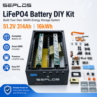 Kit de boîtier de batterie DIY Seplos 48V 51.2V LiFePO4 280Ah 306Ah 314Ah avec 16 cellules, boîtier et BMS 200A pour stockage d'énergie solaire domestique
