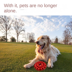 Jouets à mâcher pour chien en caoutchouc naturel, <span class=keywords><strong>pneu</strong></span> indestructible, distributeur de friandises, écologique, durable, nettoyage des dents, pour chiens agressifs - Product Image 3