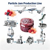 ORME Berry Fruit Jam Productielijn Tomatenpuree Rode Dadel Peer Mango Ananas Appeljam Verwerkings- en Productie-apparatuur