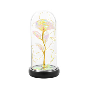 Cadeau de la Saint-Valentin 2026 très demandé : Rose sous cloche colorée pour la Saint-Valentin et la fête des Mères - Product Image 2