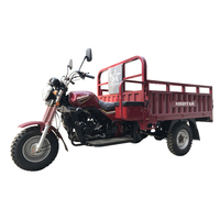 Camionnette à 5 roues de Chine, tricycle cargo, 250cc 300cc avec moteur Zongshen Lifan Loncin