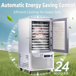 Congélateur rapide haute performance, congélateur commercial rapide, congélateur rapide haute performance en acier inoxydable - Product Image 3