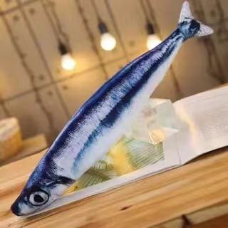 Saury