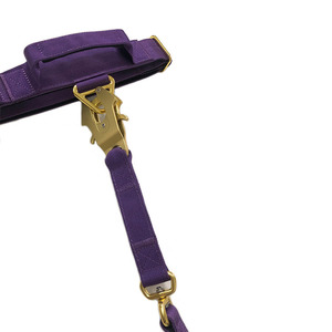 Laisse de luxe en Nylon néoprène à Double poignée pour chien, robuste et tactique, avec pince grenouille dorée - Product Image 6