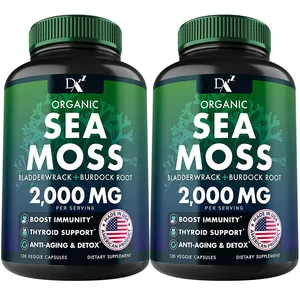 Basso Moq Ashwagandha curcuma Bladderwrack iodio clorofilla Acv muschio di mare capsule di olio di semi neri