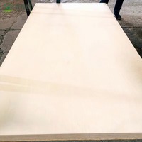 Contreplaqué en bouleau stratifié de 18 mm avec revêtement phénolique, qualité PREMIÈRE CLASSE, norme d'émission E0 pour meubles