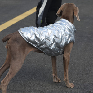 Gilet invernale in argento per Labrador/Golden Retriever/Border Collie/Weimaraner Dog-abbigliamento caldo per <span class=keywords><strong>cani</strong></span> - Product Image 4