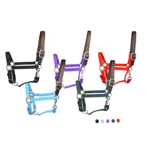 Cavezza Equestre di Alta Qualità Personalizzata Sicura Comoda Regolabile con Sgancio Rapido per Equitazione - Product Image 1