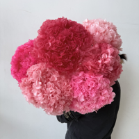 Bunga Hydrangea Kering Berkualitas Tinggi, Daun Besar, Warna Baby Pink, Ungu, Putih, Hijau, Biru Besar, Bunga Hydrangea Awet