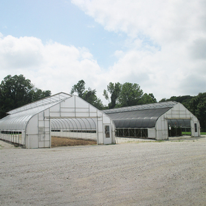 Invernadero de Fábrica Baolida de 8x37.5m y 4m de Altura con Puerta, Techo de Lámina y Película de Polietileno para Jardín Trasero - Product Image 1