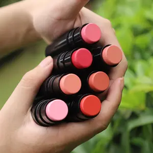 Nuovo Design a 7 colori a doppia testa per il trucco della guancia Blush in crema Blush Stick con pennello