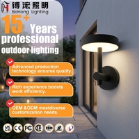 Lampe murale solaire multicolores OEM, éclairage extérieur personnalisé, source LED 10W, IP65, étanche, lumière de jardin
