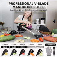 Trancheuse à Mandoline réglable professionnelle, en acier inoxydable, pour aliments, légumes, pommes de terre, ensemble, coupe-légumes