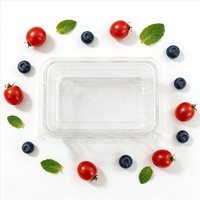 Transparante fruit- en groenteverpakking, grote capaciteit, voedselveilig, gerecycled PET, verse supermarkt groothandel, met scharnierend deksel