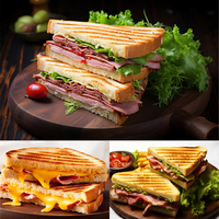 Passe au lave-vaisselle Machine à sandwich épaisse pour micro-ondes Grille-pain Machine à sandwich Gain de temps Machine à panini rapide Plats de cuisson Casseroles