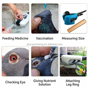 Polissoir diy à <span class=keywords><strong>prix</strong></span> bas, support de pigeon pour <span class=keywords><strong>pigeons</strong></span> et volaille, mangeoire pour médicaments - Product Image 6
