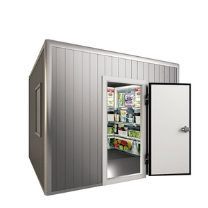 Cámara Frigorífica para Alimentos Congelados a Precio de Fábrica, Lista para Enviar, con Equipamiento de Refrigeración - Product Image 4