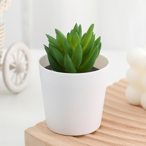 Mini plantas en maceta Duofu, plantas <span class=keywords><strong>suculentas</strong></span> artificiales, bonsái suculento <span class=keywords><strong>con</strong></span> maceta redonda de plástico - Product Image 5
