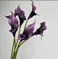 YC Fleurs artificielles Calla Lily à longues tiges, toucher réaliste, double pétales délicats, en plastique PU, pour la décoration de la maison, les mariages, Noël, les vases