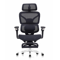Silla de Oficina Ergonómica Moderna, Giratoria, con Soporte Lumbar de Malla, de Lujo, con Reposapiés, Personalizable