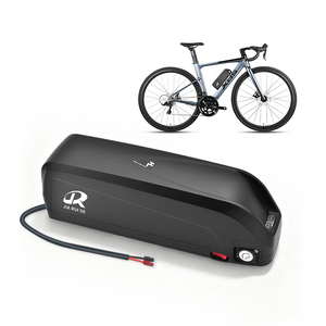 Batterie solide pour vélo électrique Hailong G80 48V 13Ah avec BMS 20A pour moteurs 750W/1500W, cathode NCM, 1000 cycles - Product Image 2
